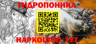 шишки Балашиха