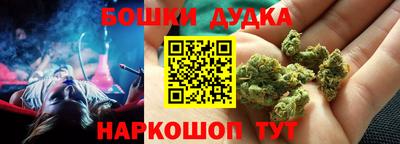 шишки Балашиха