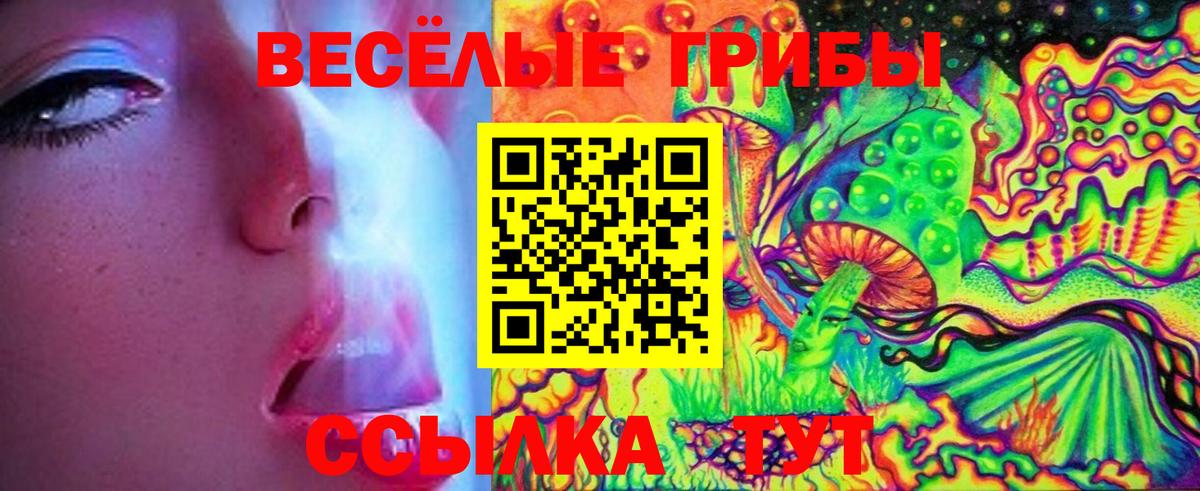 Галлюциногенные грибы Ачхой-Мартан
