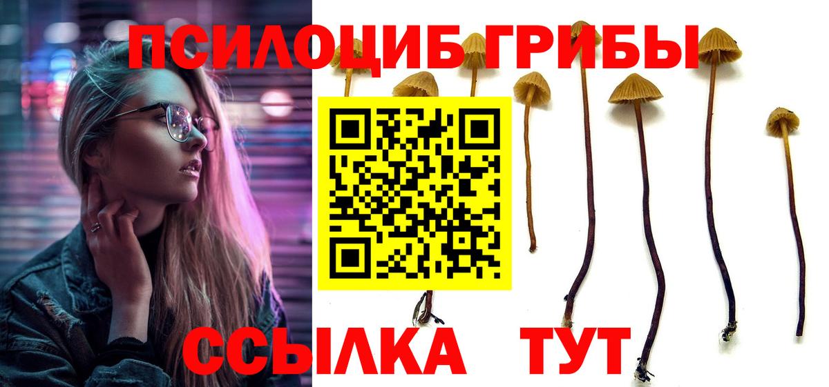 Галлюциногенные грибы ЛСД  Псилоцибиновые грибы ЛСД  Вход с VPN  Ачхой-Мартан 